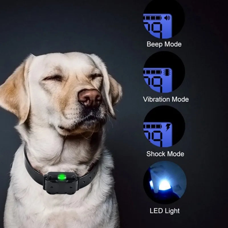 Zgardă Electrică de Dresaj pentru Câini – Reîncărcabilă, Impermeabilă, Telecomandă, Display LCD